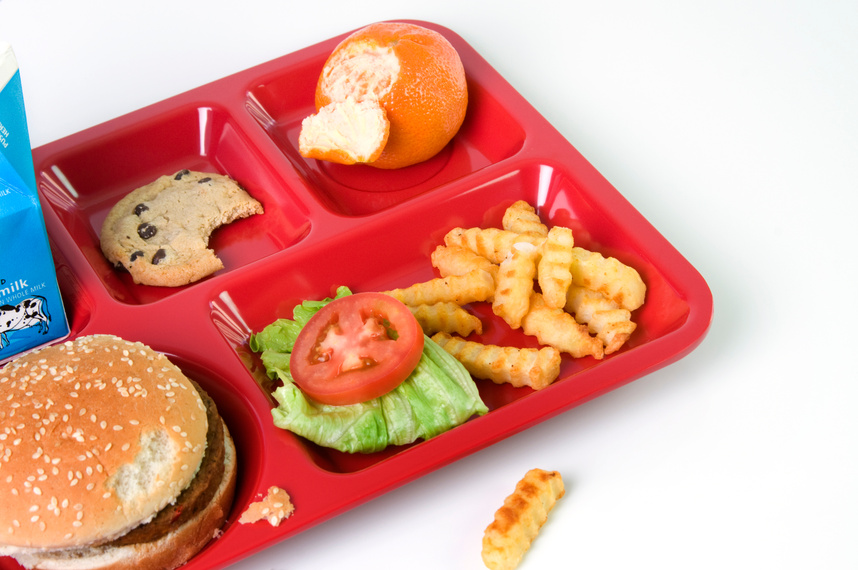 School Lunch-Picky Eater